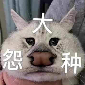 ��ԩ��ʲô��˼��� ԩ�ֽ��ù������������